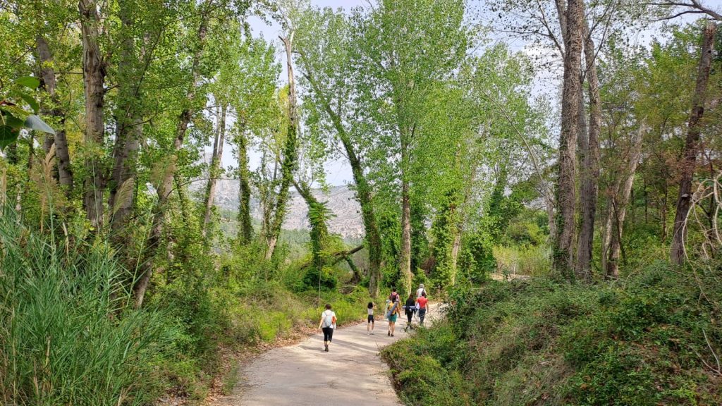 Yoga en la montaña