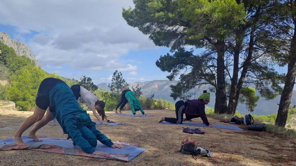 Yoga en el bosque
